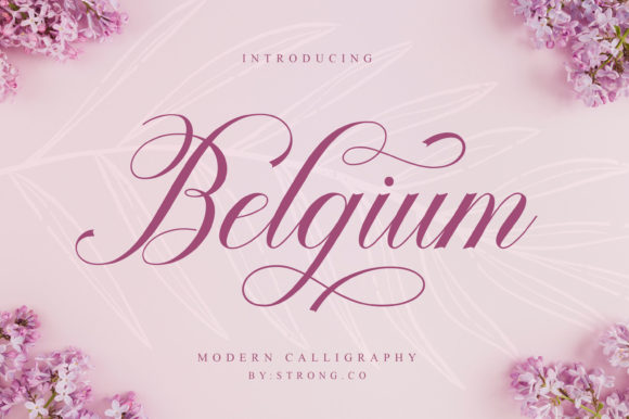 Belgium Font: Elegant Script for Creative Makers