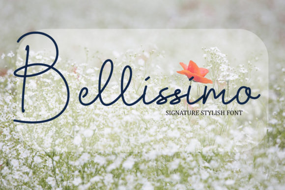 Bellissimo Font: Elegant Script for Business