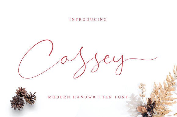 Cassey: A Script Amp Review